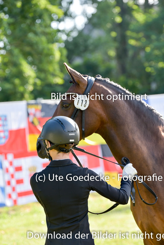 Goldene Schärpe Ponys in Hohenberg Krusemark 2024 | 14072024 Vormustern_012