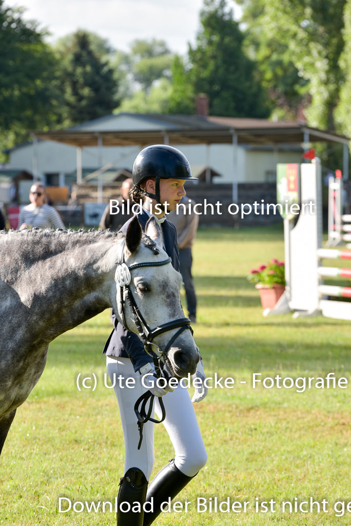 Goldene Schärpe Ponys in Hohenberg Krusemark 2024 | 14072024 Vormustern_014