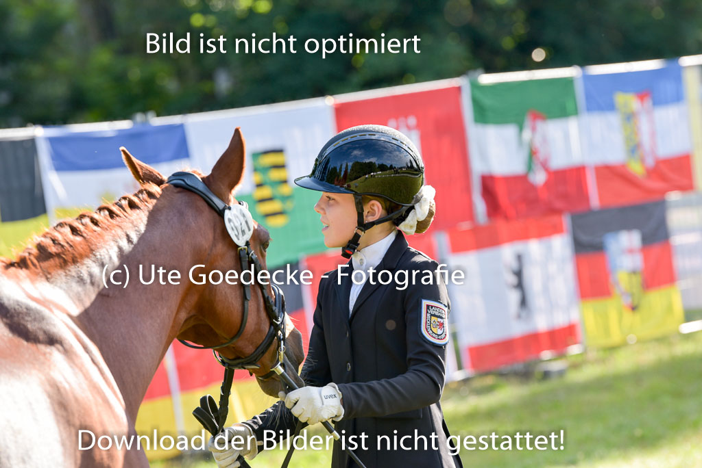 Goldene Schärpe Ponys in Hohenberg Krusemark 2024 | 14072024 Vormustern_016 