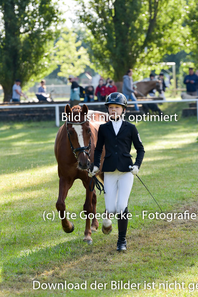 Goldene Schärpe Ponys in Hohenberg Krusemark 2024 | 14072024 Vormustern_019