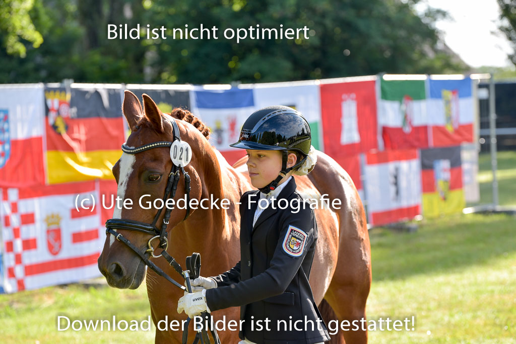 Goldene Schärpe Ponys in Hohenberg Krusemark 2024 | 14072024 Vormustern_020