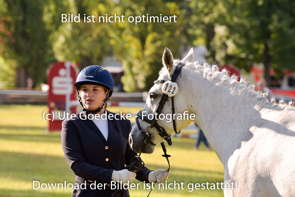 Goldene Schärpe Ponys in Hohenberg Krusemark 2024 | 14072024 Vormustern_021