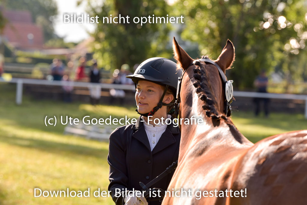 Goldene Schärpe Ponys in Hohenberg Krusemark 2024 | 14072024 Vormustern_022