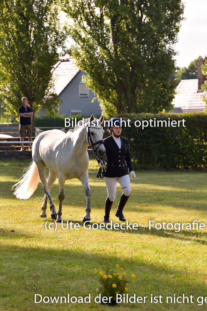Goldene Schärpe Ponys in Hohenberg Krusemark 2024 | 14072024 Vormustern_024