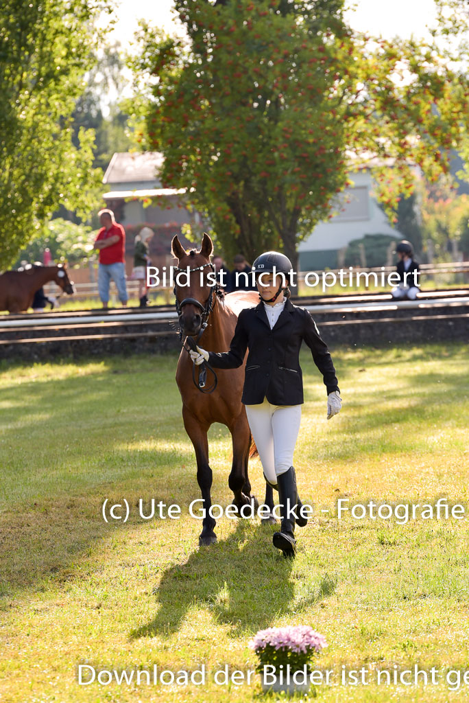 Goldene Schärpe Ponys in Hohenberg Krusemark 2024 | 14072024 Vormustern_025