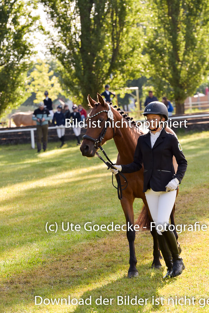 Goldene Schärpe Ponys in Hohenberg Krusemark 2024 | 14072024 Vormustern_026
