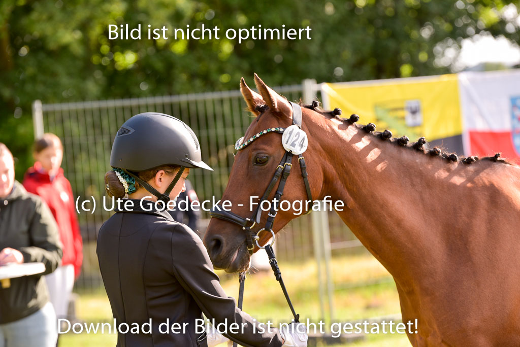 Goldene Schärpe Ponys in Hohenberg Krusemark 2024 | 14072024 Vormustern_028