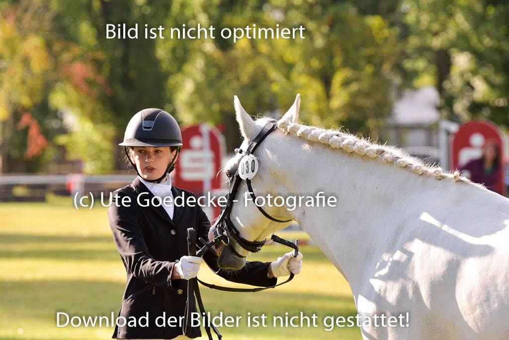 Goldene Schärpe Ponys in Hohenberg Krusemark 2024 | 14072024 Vormustern_029