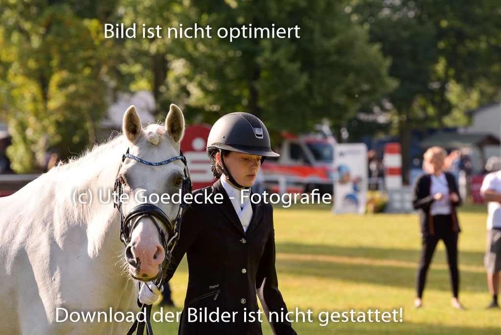 Goldene Schärpe Ponys in Hohenberg Krusemark 2024 | 14072024 Vormustern_032