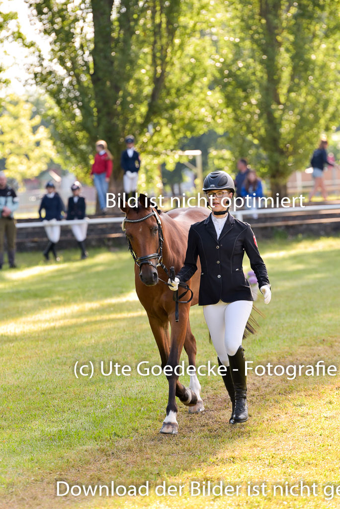 Goldene Schärpe Ponys in Hohenberg Krusemark 2024 | 14072024 Vormustern_033