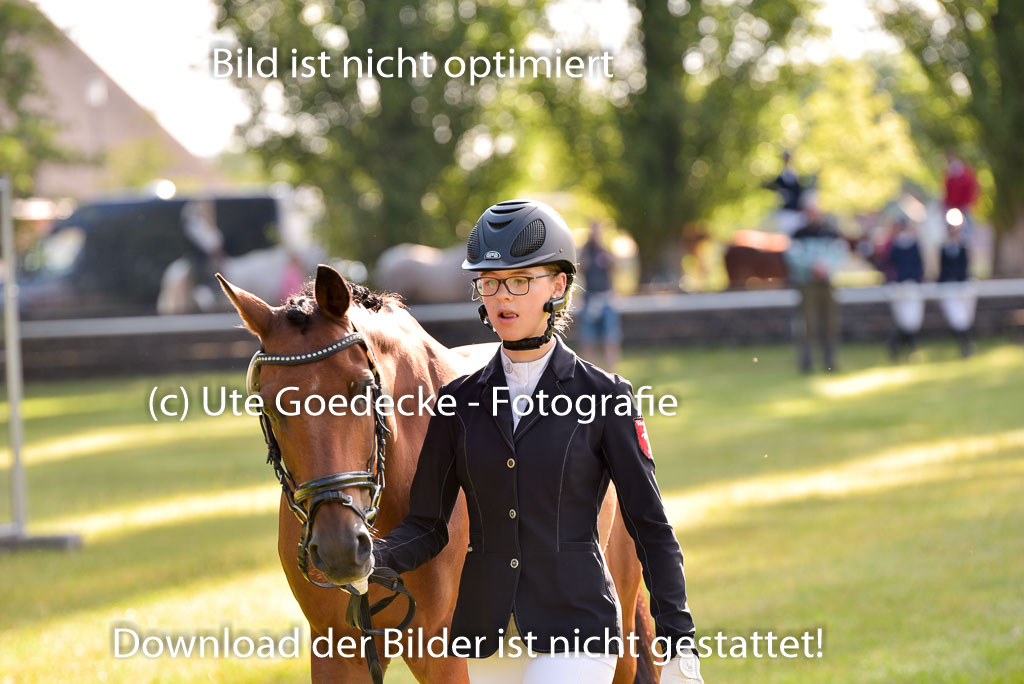 Goldene Schärpe Ponys in Hohenberg Krusemark 2024 | 14072024 Vormustern_034