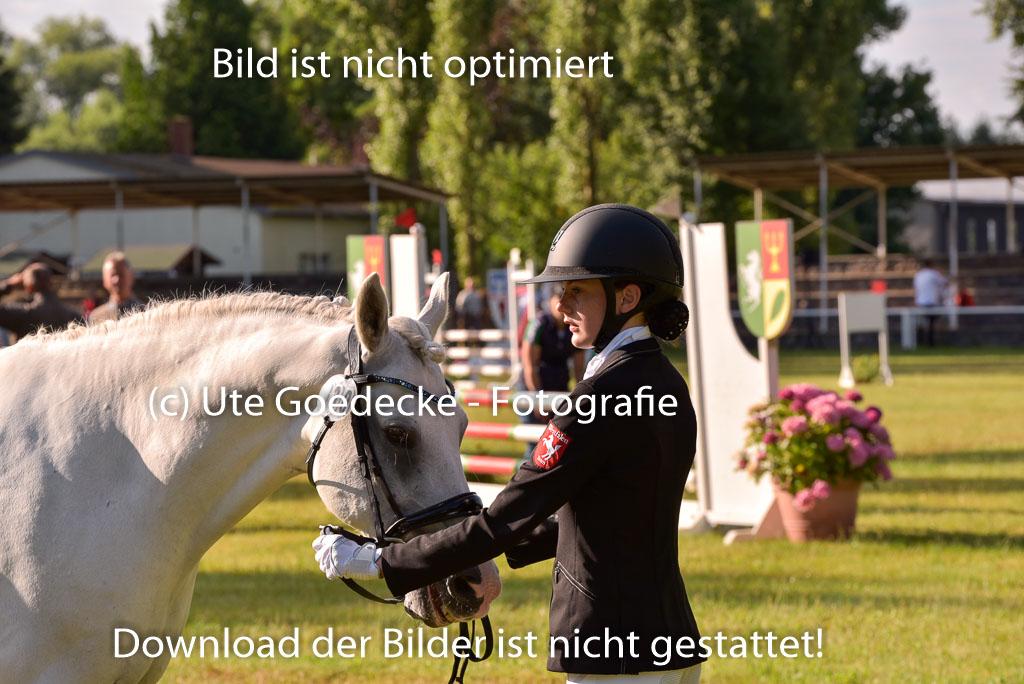 Goldene Schärpe Ponys in Hohenberg Krusemark 2024 | 14072024 Vormustern_035