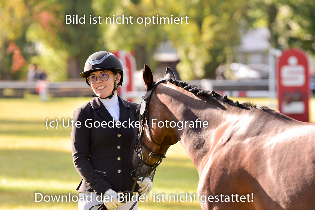 Goldene Schärpe Ponys in Hohenberg Krusemark 2024 | 14072024 Vormustern_037