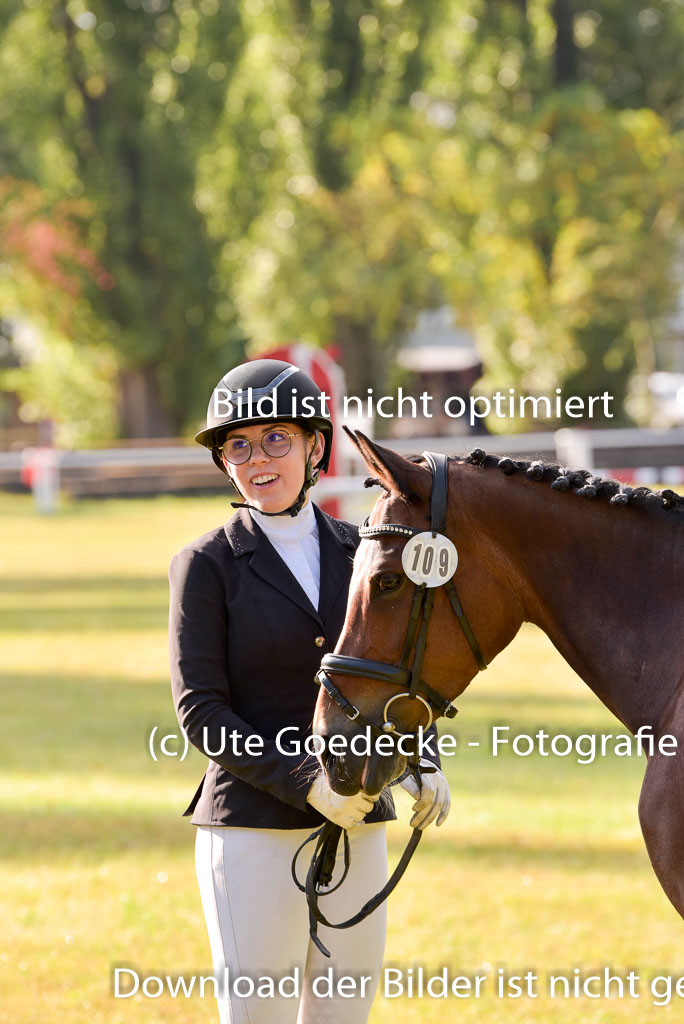 Goldene Schärpe Ponys in Hohenberg Krusemark 2024 | 14072024 Vormustern_038