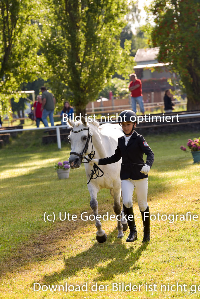 Goldene Schärpe Ponys in Hohenberg Krusemark 2024 | 14072024 Vormustern_041
