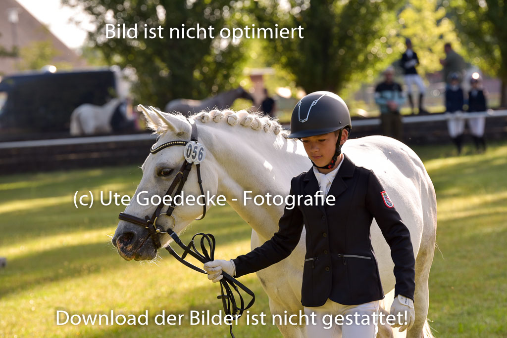 Goldene Schärpe Ponys in Hohenberg Krusemark 2024 | 14072024 Vormustern_043