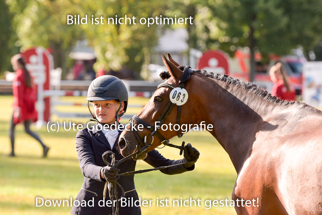 Goldene Schärpe Ponys in Hohenberg Krusemark 2024 | 14072024 Vormustern_045