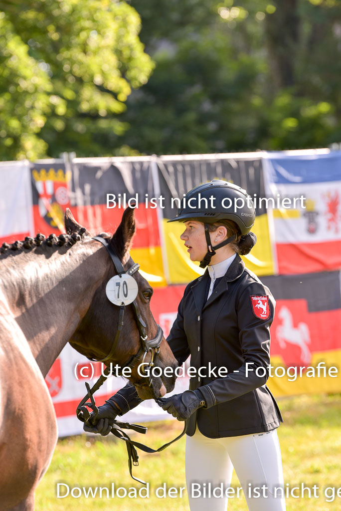 Goldene Schärpe Ponys in Hohenberg Krusemark 2024 | 14072024 Vormustern_046