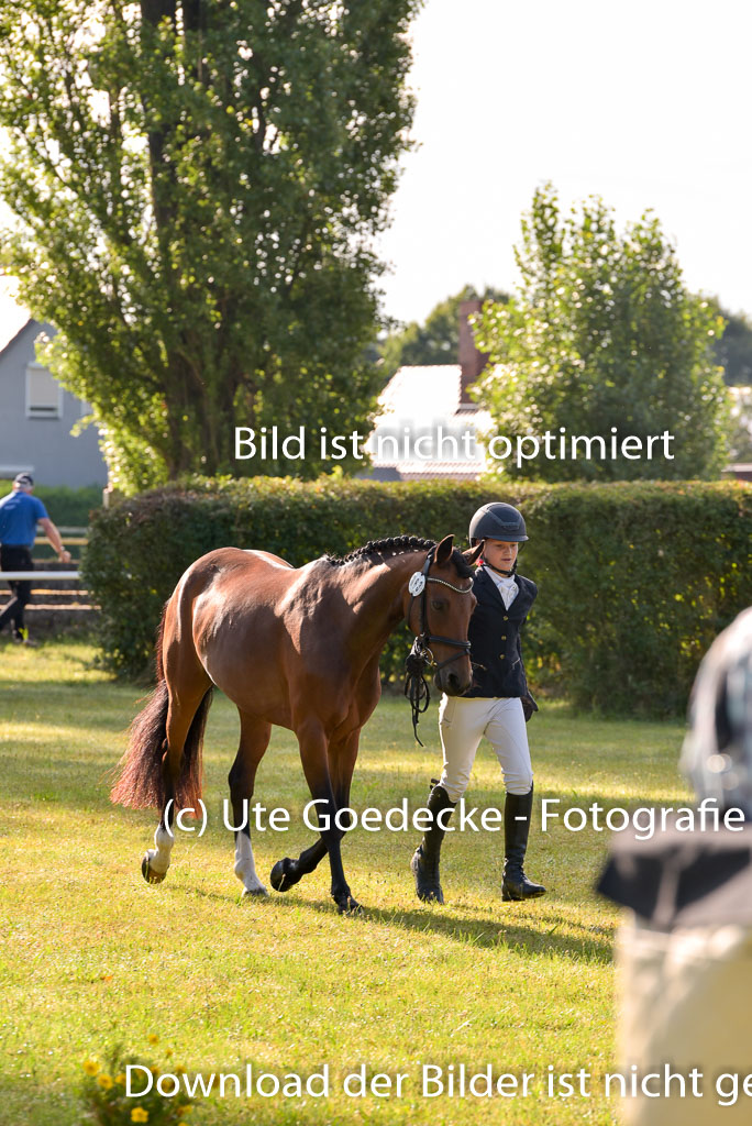 Goldene Schärpe Ponys in Hohenberg Krusemark 2024 | 14072024 Vormustern_047