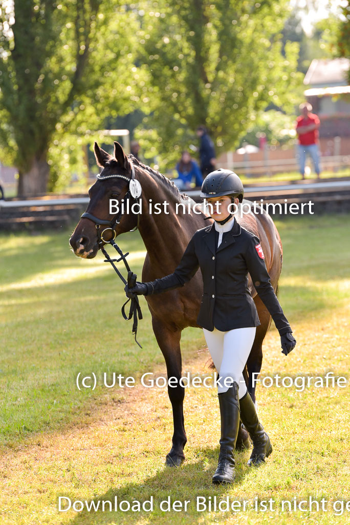 Goldene Schärpe Ponys in Hohenberg Krusemark 2024 | 14072024 Vormustern_049