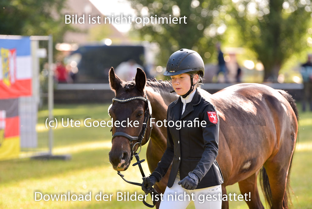 Goldene Schärpe Ponys in Hohenberg Krusemark 2024 | 14072024 Vormustern_050