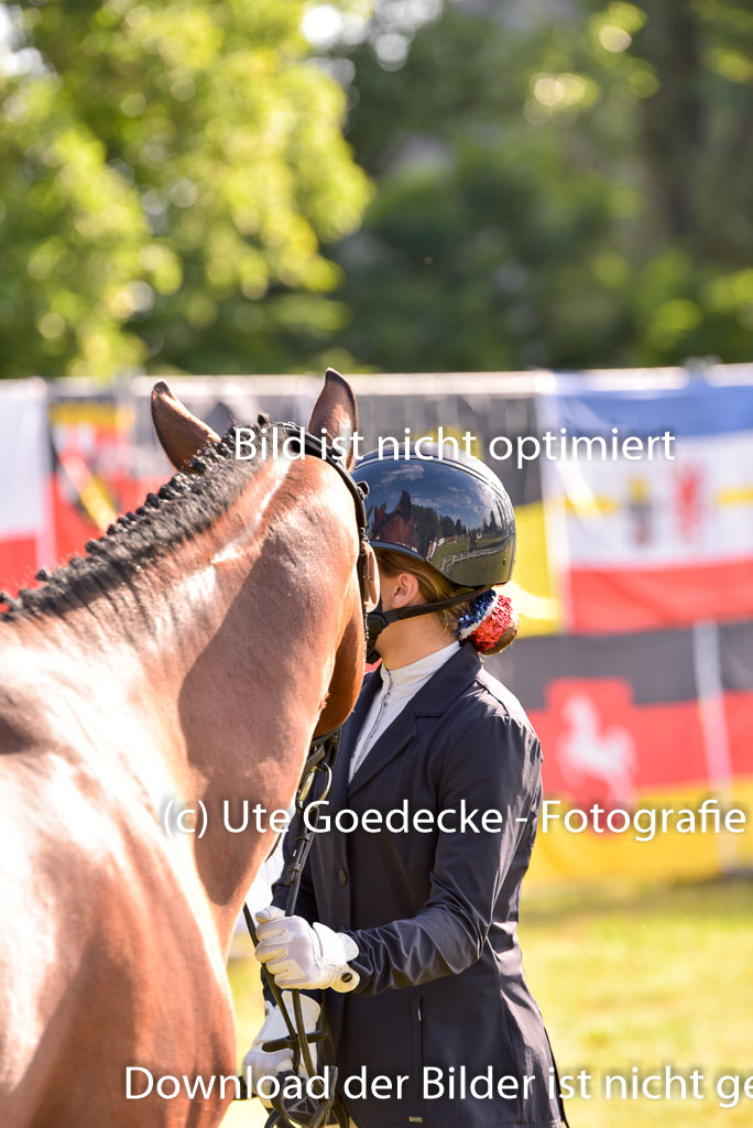 Goldene Schärpe Ponys in Hohenberg Krusemark 2024 | 14072024 Vormustern_052