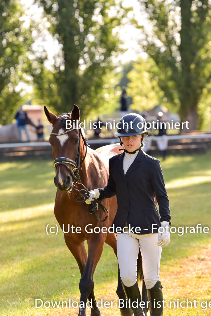 Goldene Schärpe Ponys in Hohenberg Krusemark 2024 | 14072024 Vormustern_055