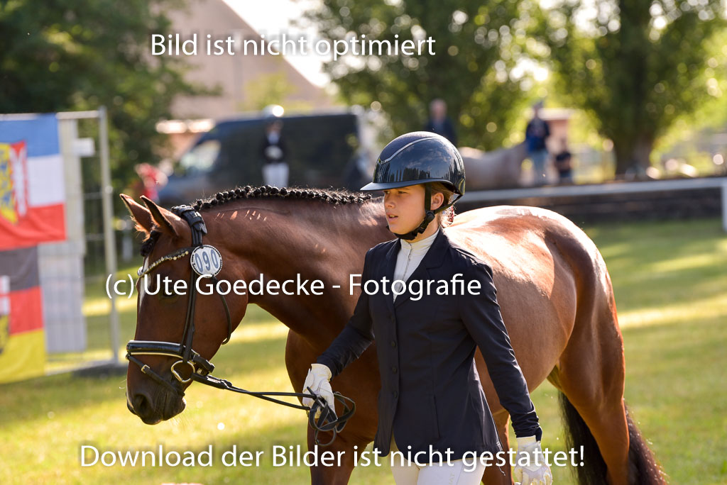 Goldene Schärpe Ponys in Hohenberg Krusemark 2024 | 14072024 Vormustern_056