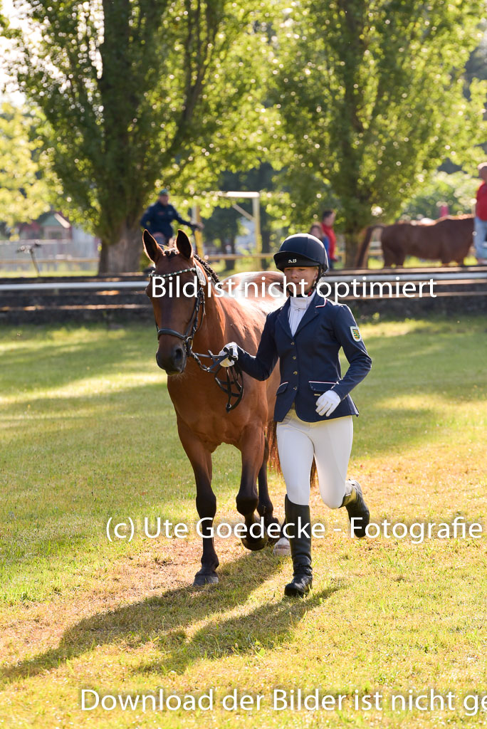 Goldene Schärpe Ponys in Hohenberg Krusemark 2024 | 14072024 Vormustern_062