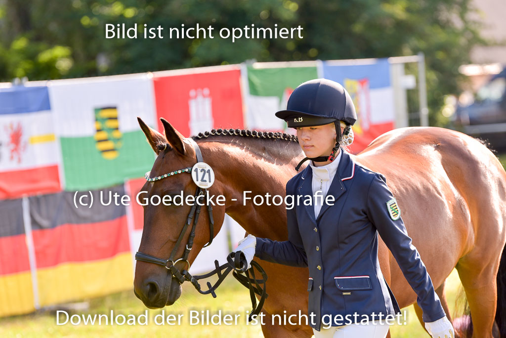 Goldene Schärpe Ponys in Hohenberg Krusemark 2024 | 14072024 Vormustern_063