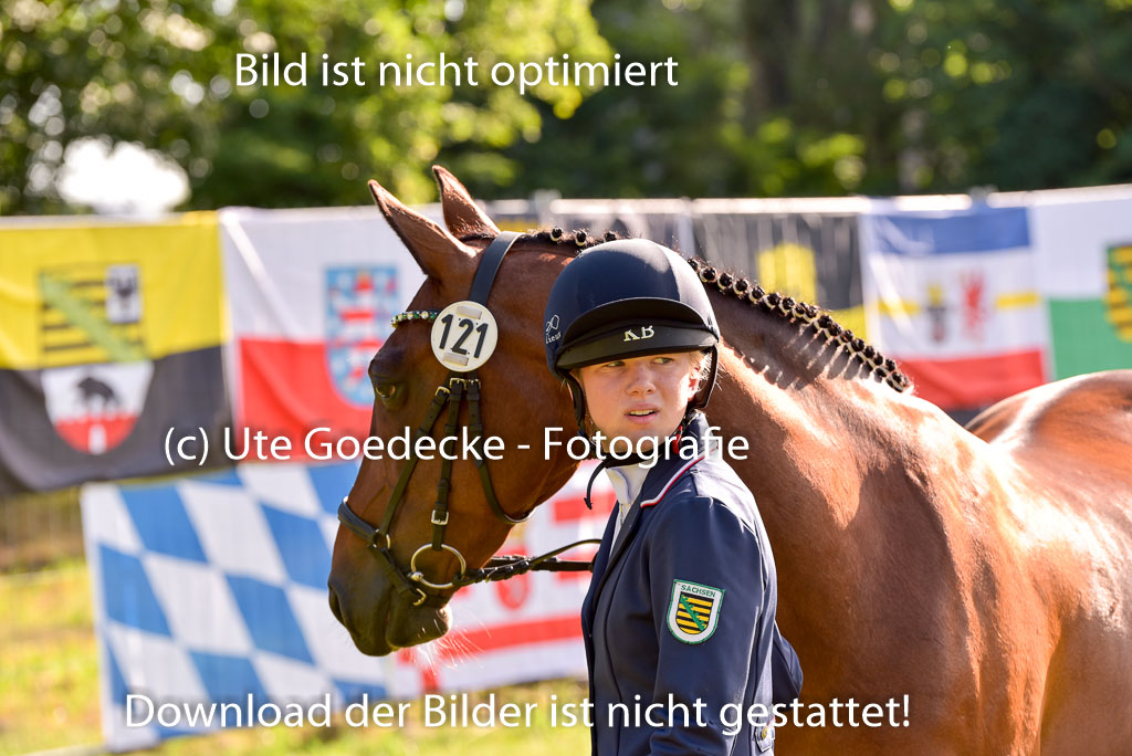 Goldene Schärpe Ponys in Hohenberg Krusemark 2024 | 14072024 Vormustern_065