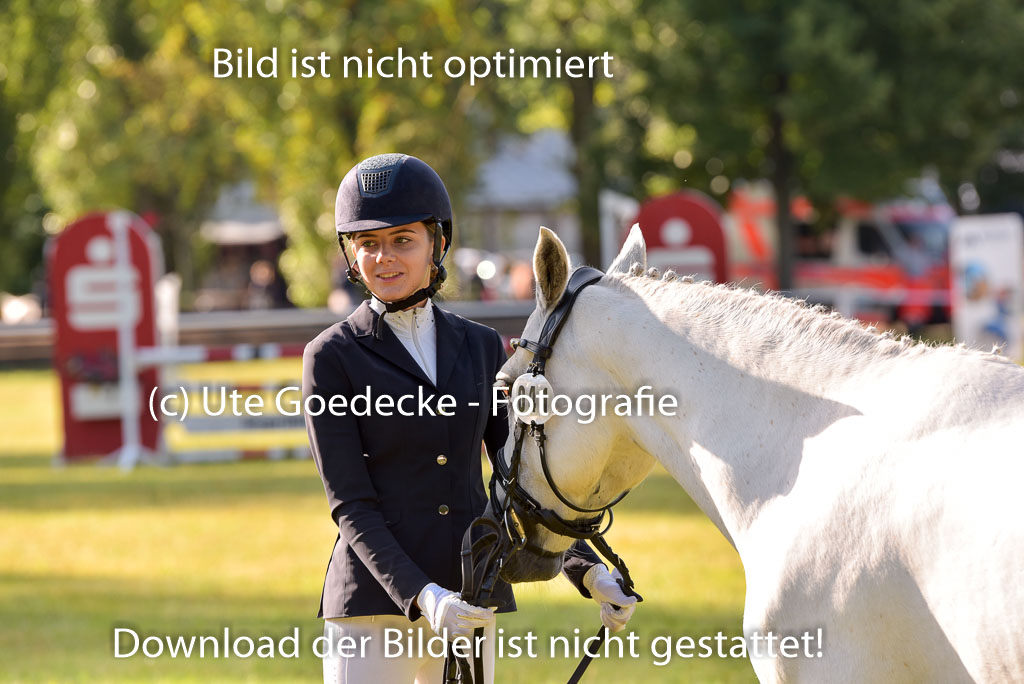 Goldene Schärpe Ponys in Hohenberg Krusemark 2024 | 14072024 Vormustern_066