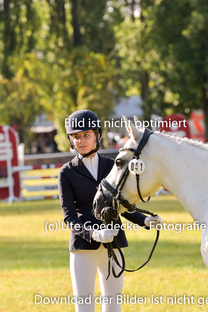 Goldene Schärpe Ponys in Hohenberg Krusemark 2024 | 14072024 Vormustern_067