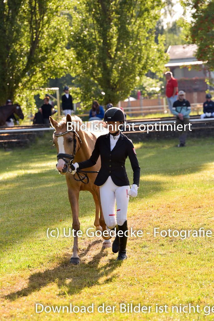 Goldene Schärpe Ponys in Hohenberg Krusemark 2024 | 14072024 Vormustern_068