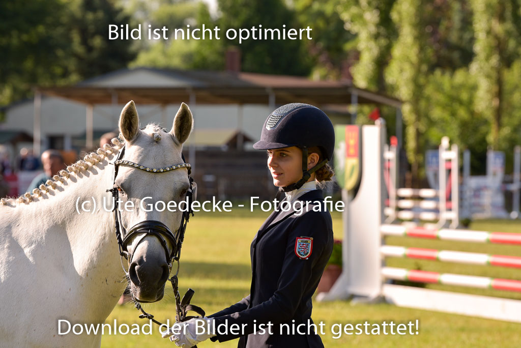 Goldene Schärpe Ponys in Hohenberg Krusemark 2024 | 14072024 Vormustern_071
