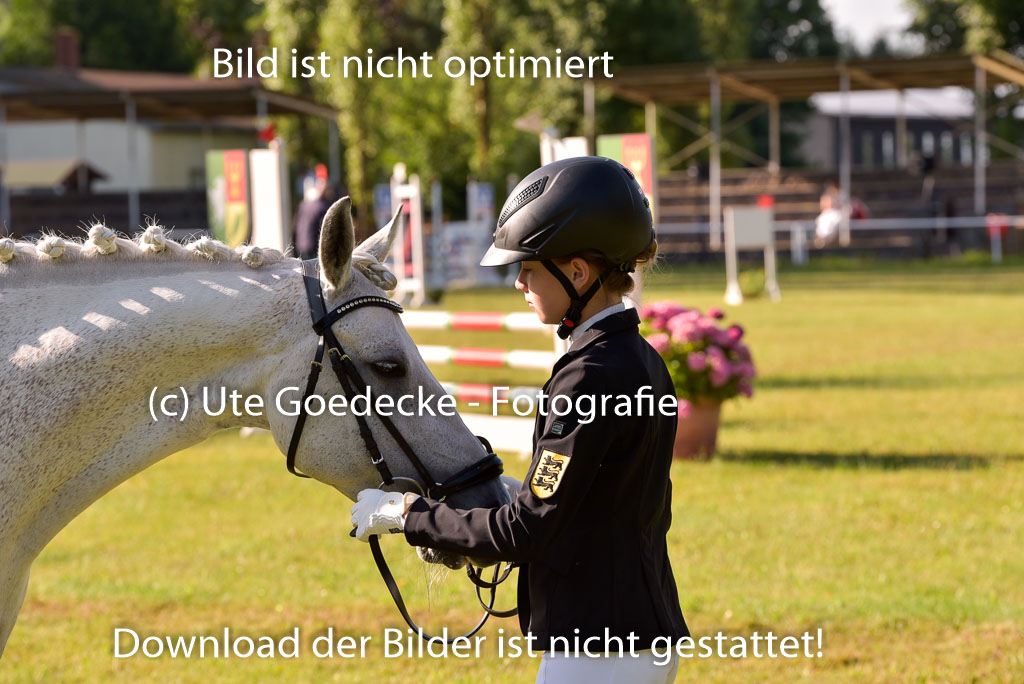 Goldene Schärpe Ponys in Hohenberg Krusemark 2024 | 14072024 Vormustern_073