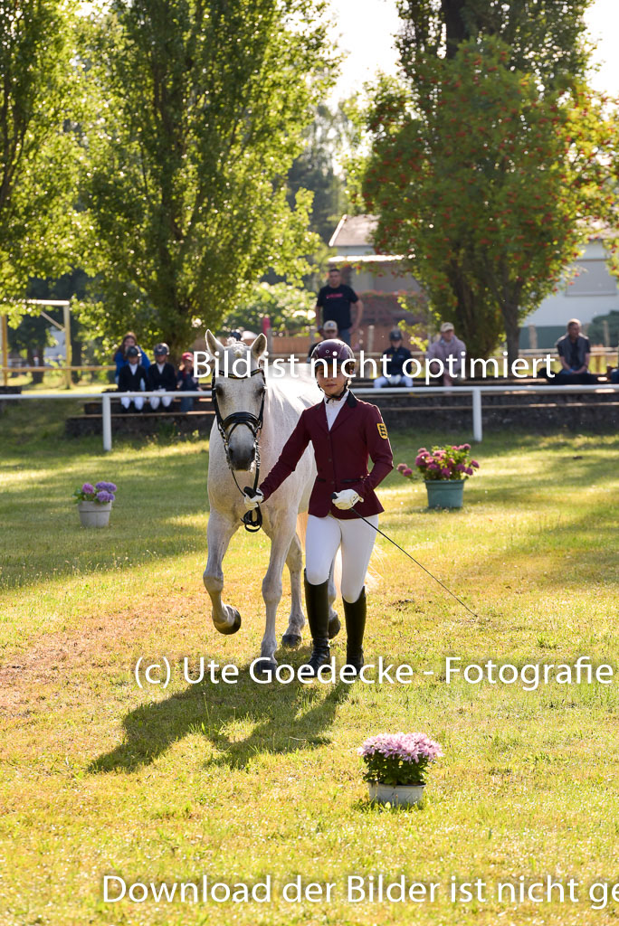 Goldene Schärpe Ponys in Hohenberg Krusemark 2024 | 14072024 Vormustern_075