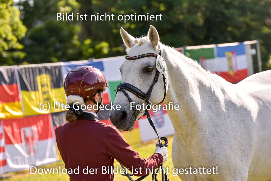 Goldene Schärpe Ponys in Hohenberg Krusemark 2024 | 14072024 Vormustern_077