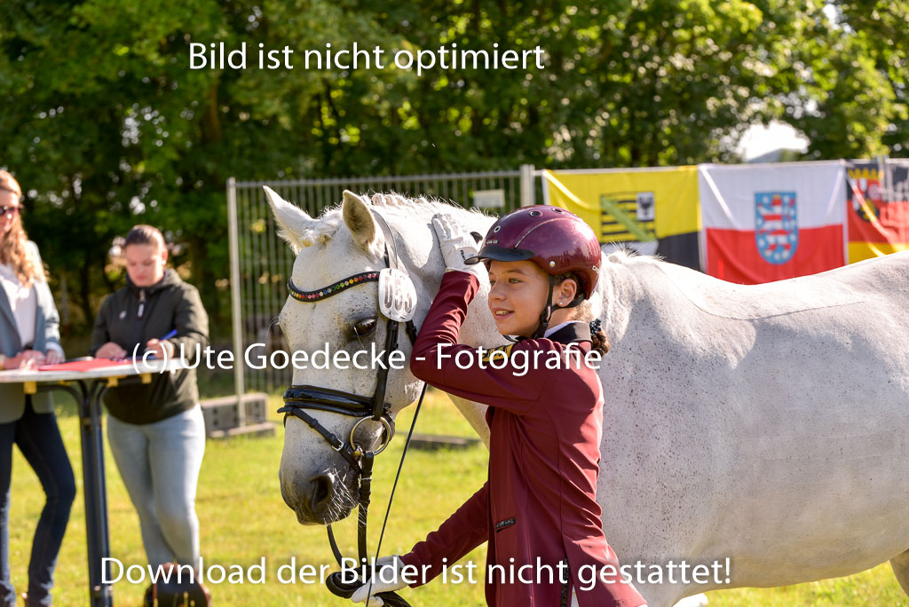 Goldene Schärpe Ponys in Hohenberg Krusemark 2024 | 14072024 Vormustern_079