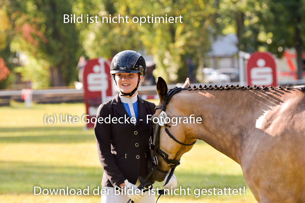 Goldene Schärpe Ponys in Hohenberg Krusemark 2024 | 14072024 Vormustern_080