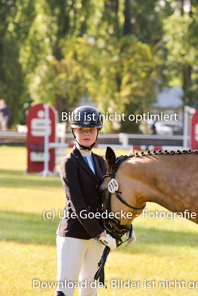 Goldene Schärpe Ponys in Hohenberg Krusemark 2024 | 14072024 Vormustern_081