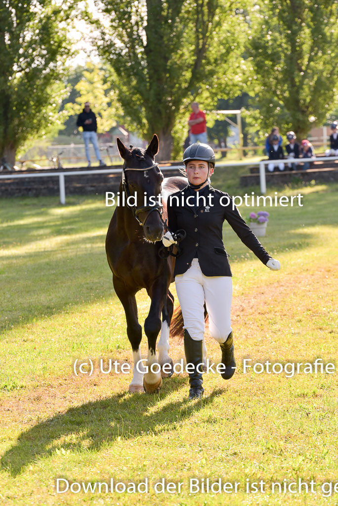 Goldene Schärpe Ponys in Hohenberg Krusemark 2024 | 14072024 Vormustern_084