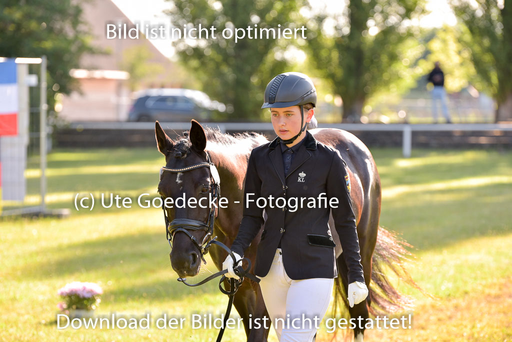 Goldene Schärpe Ponys in Hohenberg Krusemark 2024 | 14072024 Vormustern_085