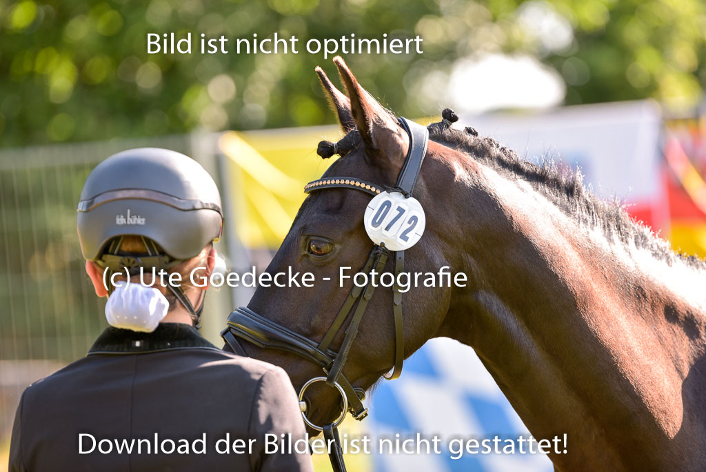 Goldene Schärpe Ponys in Hohenberg Krusemark 2024 | 14072024 Vormustern_086