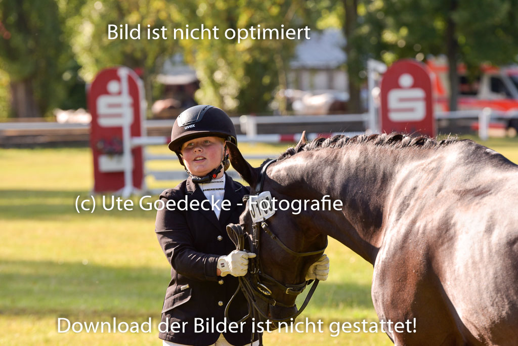 Goldene Schärpe Ponys in Hohenberg Krusemark 2024 | 14072024 Vormustern_090