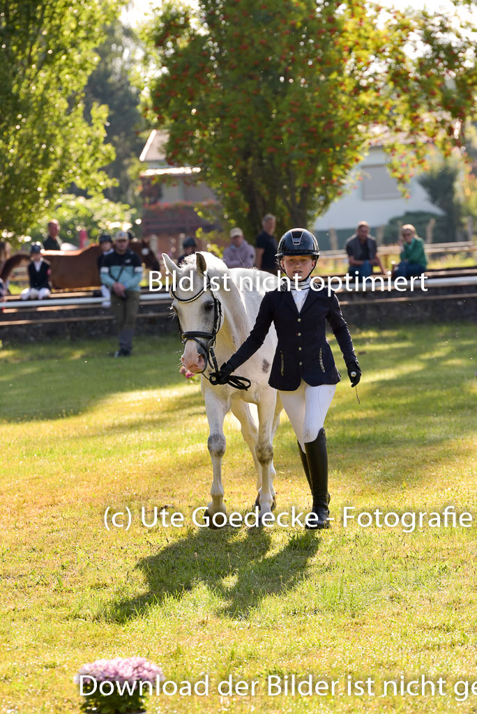 Goldene Schärpe Ponys in Hohenberg Krusemark 2024 | 14072024 Vormustern_094