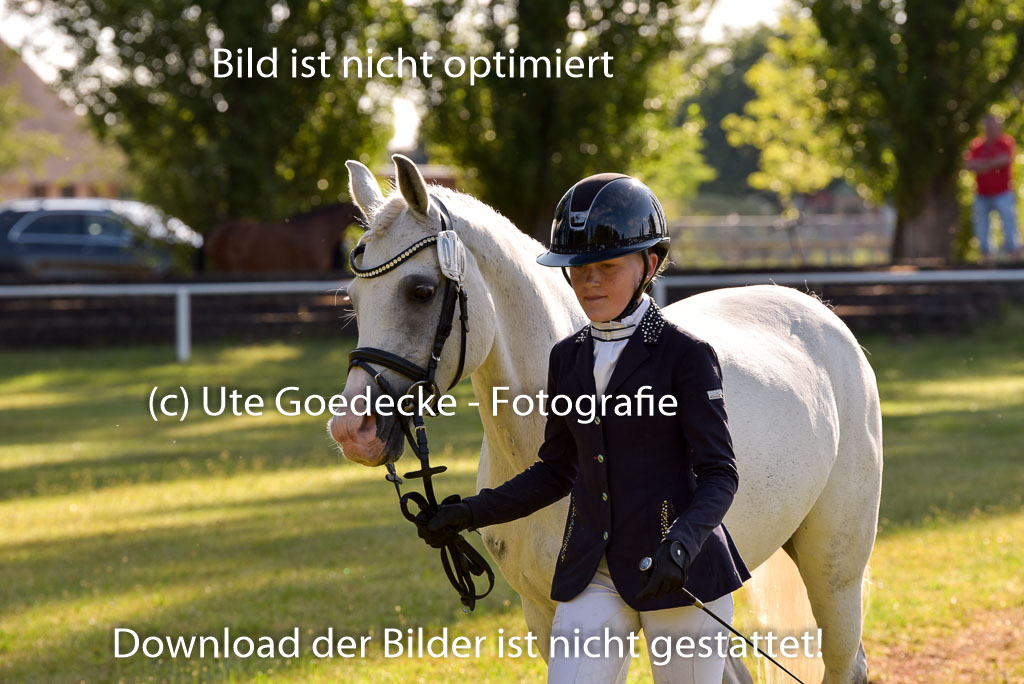 Goldene Schärpe Ponys in Hohenberg Krusemark 2024 | 14072024 Vormustern_095