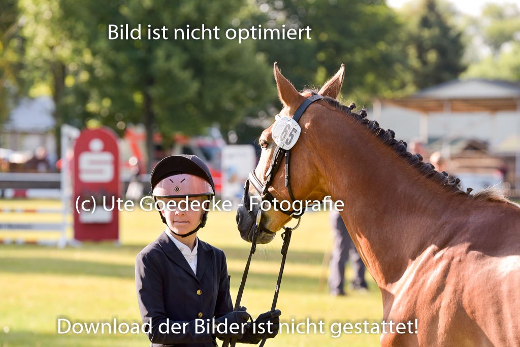 Goldene Schärpe Ponys in Hohenberg Krusemark 2024 | 14072024 Vormustern_097