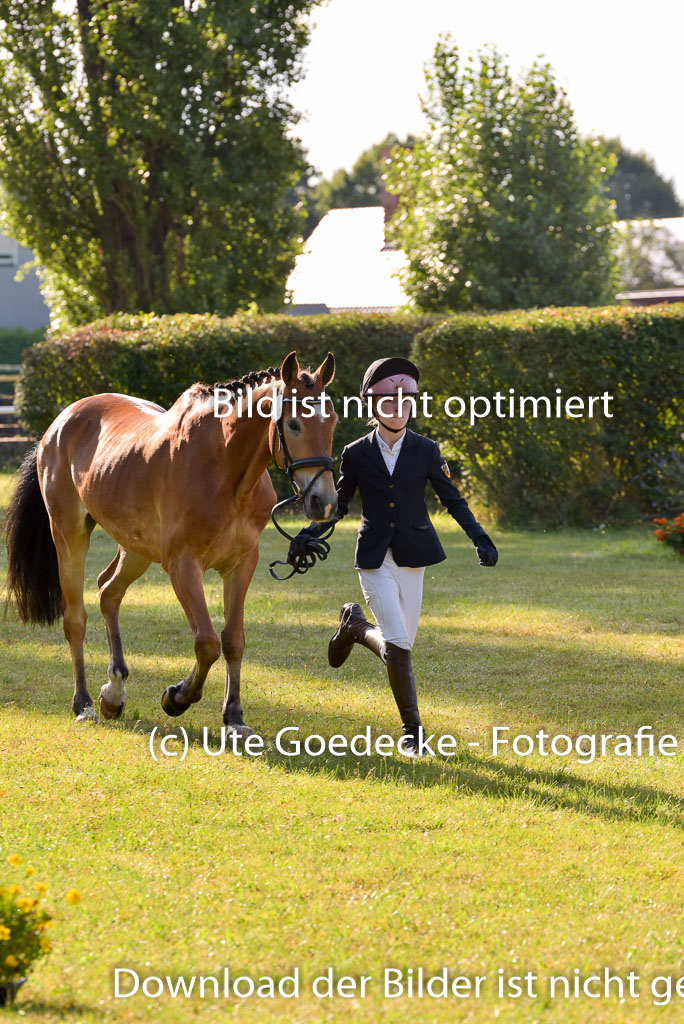 Goldene Schärpe Ponys in Hohenberg Krusemark 2024 | 14072024 Vormustern_100