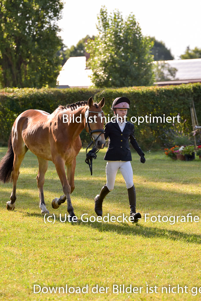 Goldene Schärpe Ponys in Hohenberg Krusemark 2024 | 14072024 Vormustern_101